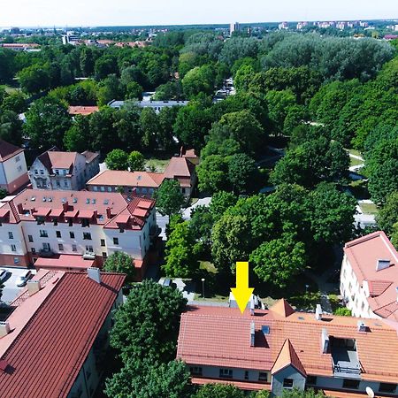 Cosy Park Apartment, Free Parking, Self-Check-In Klaipėda Esterno foto
